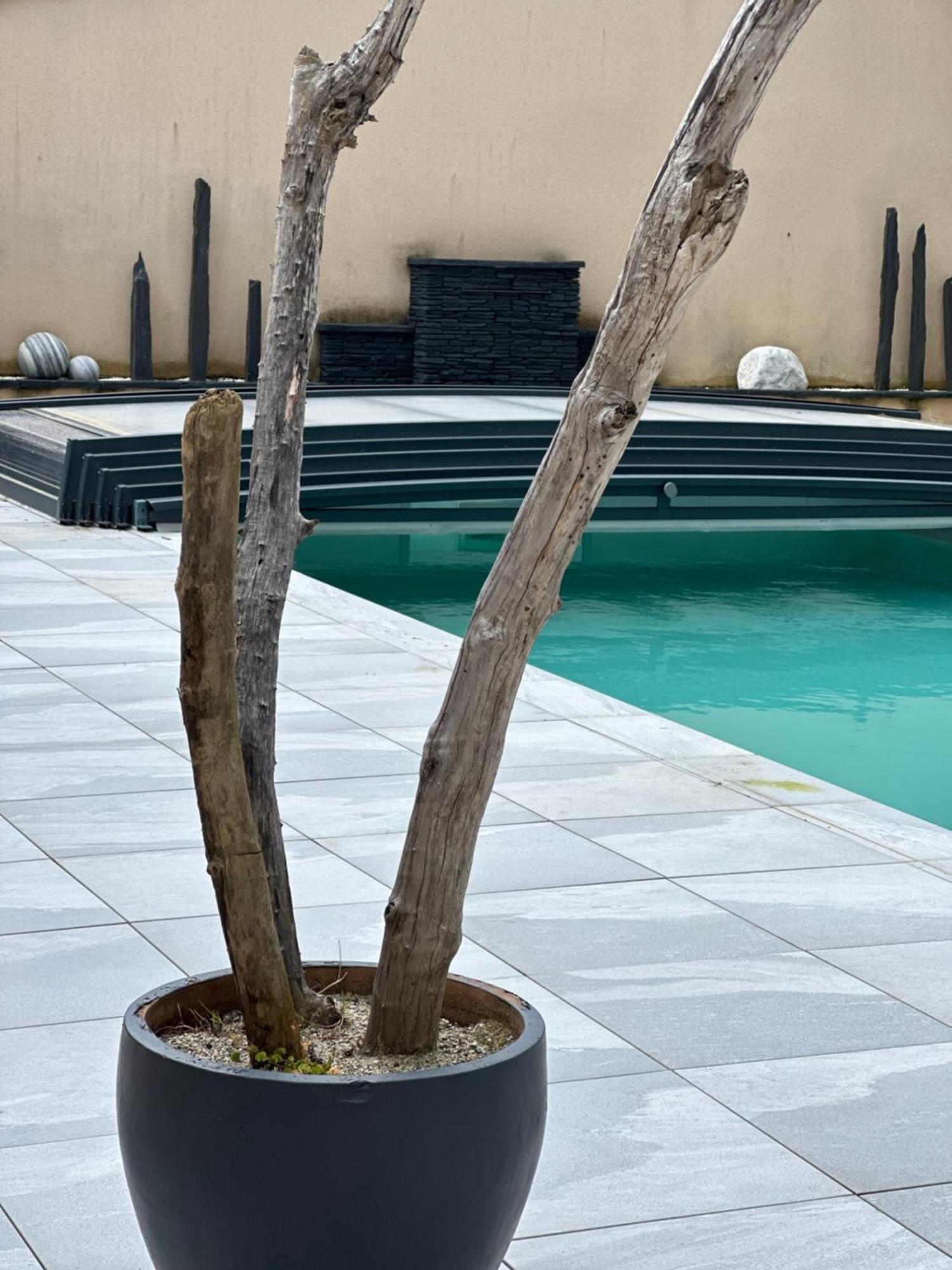 Maison D'Hotes Chic A Beauzelle ภายนอก รูปภาพ